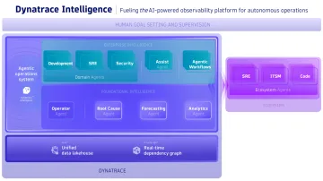 Dynatarce Marketecture light