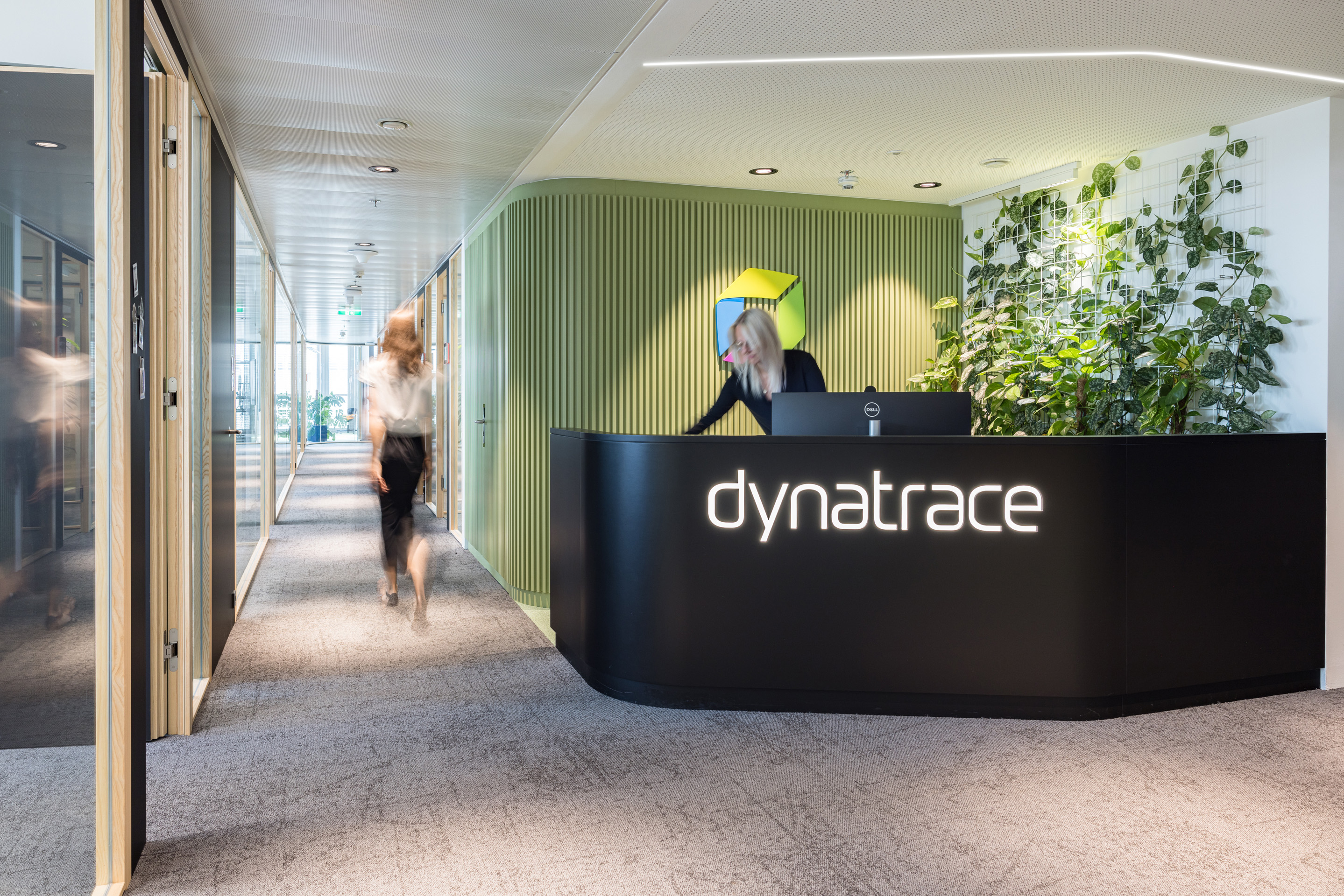 Dynatrace Vienna Office 8
