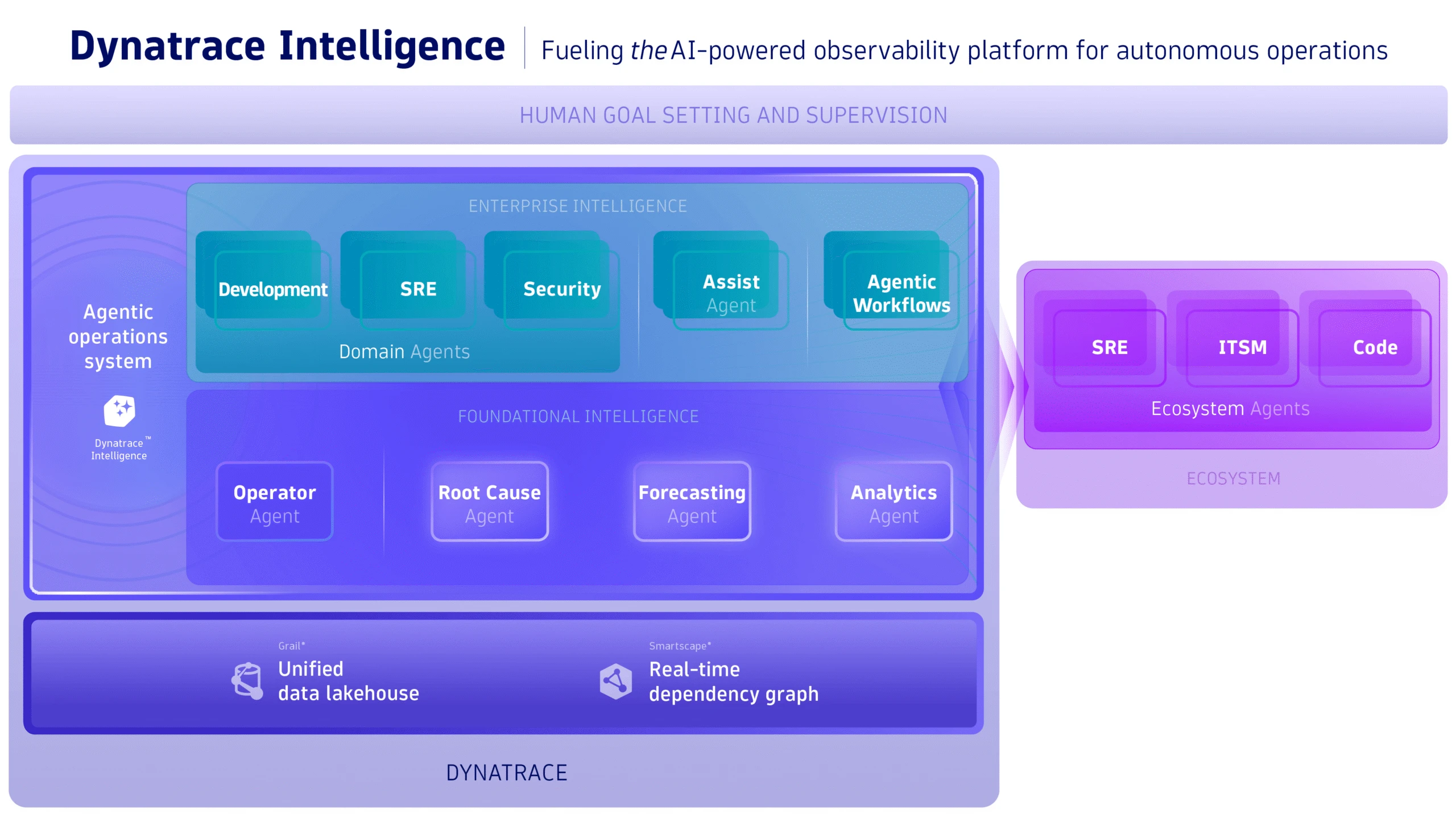 Dynatarce Marketecture light