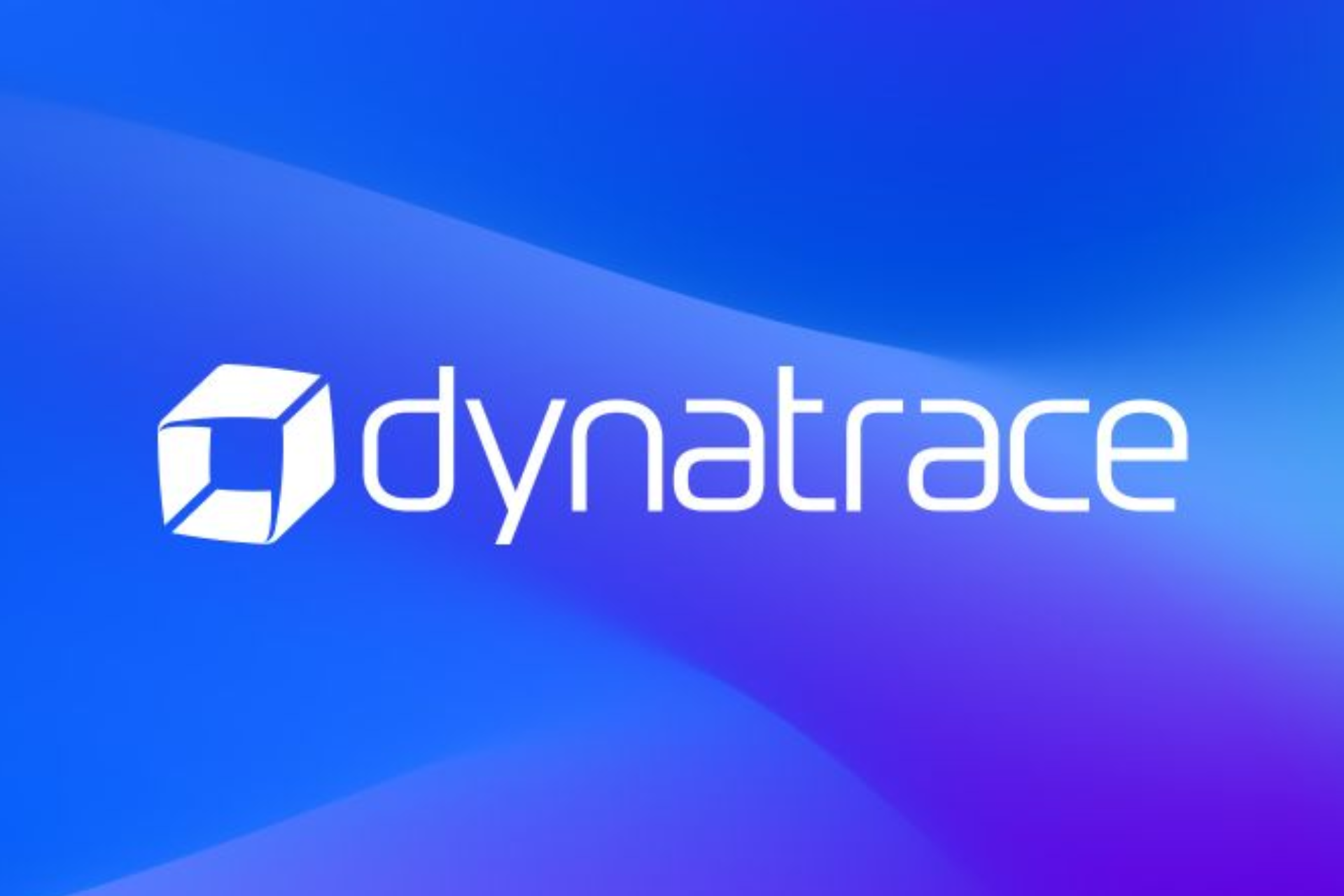 Hear from the One Agent team