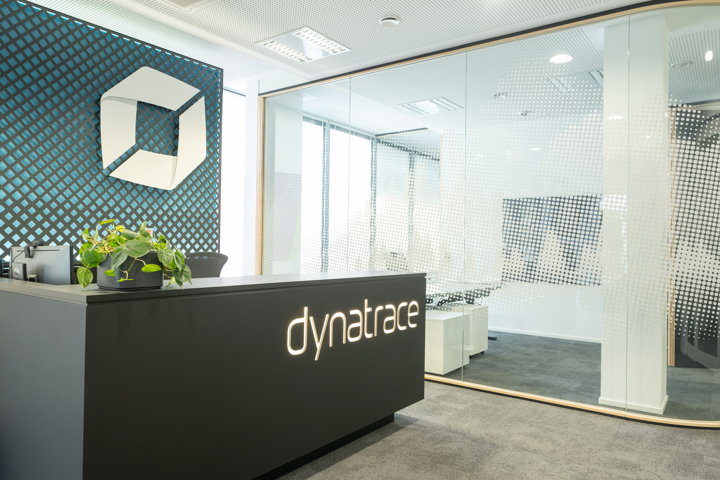Dynatrace Linz Winterhafen Office 5