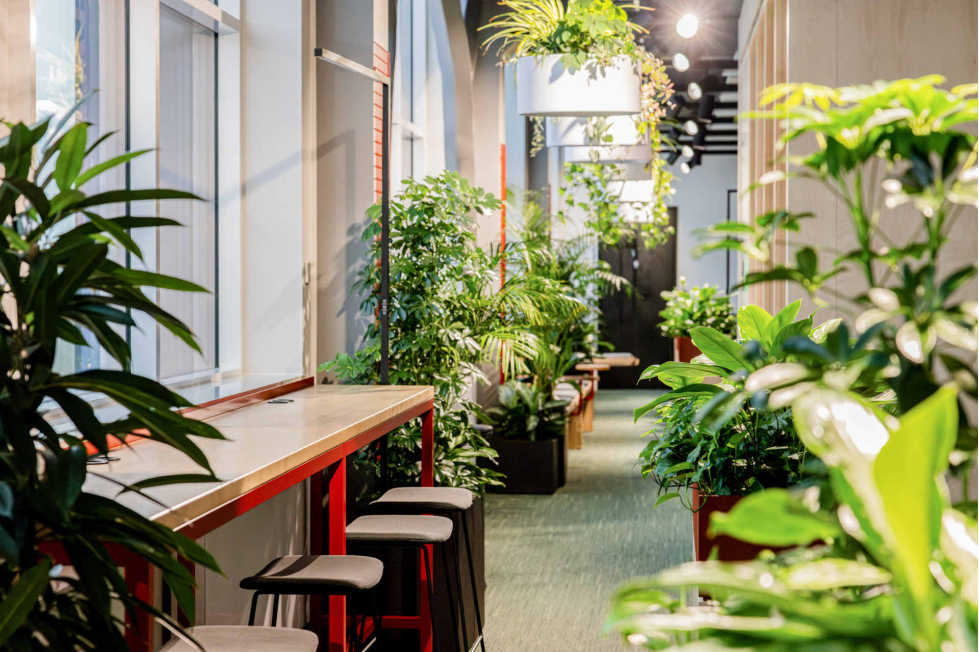 Careers dynatrace tallinn office photos 2