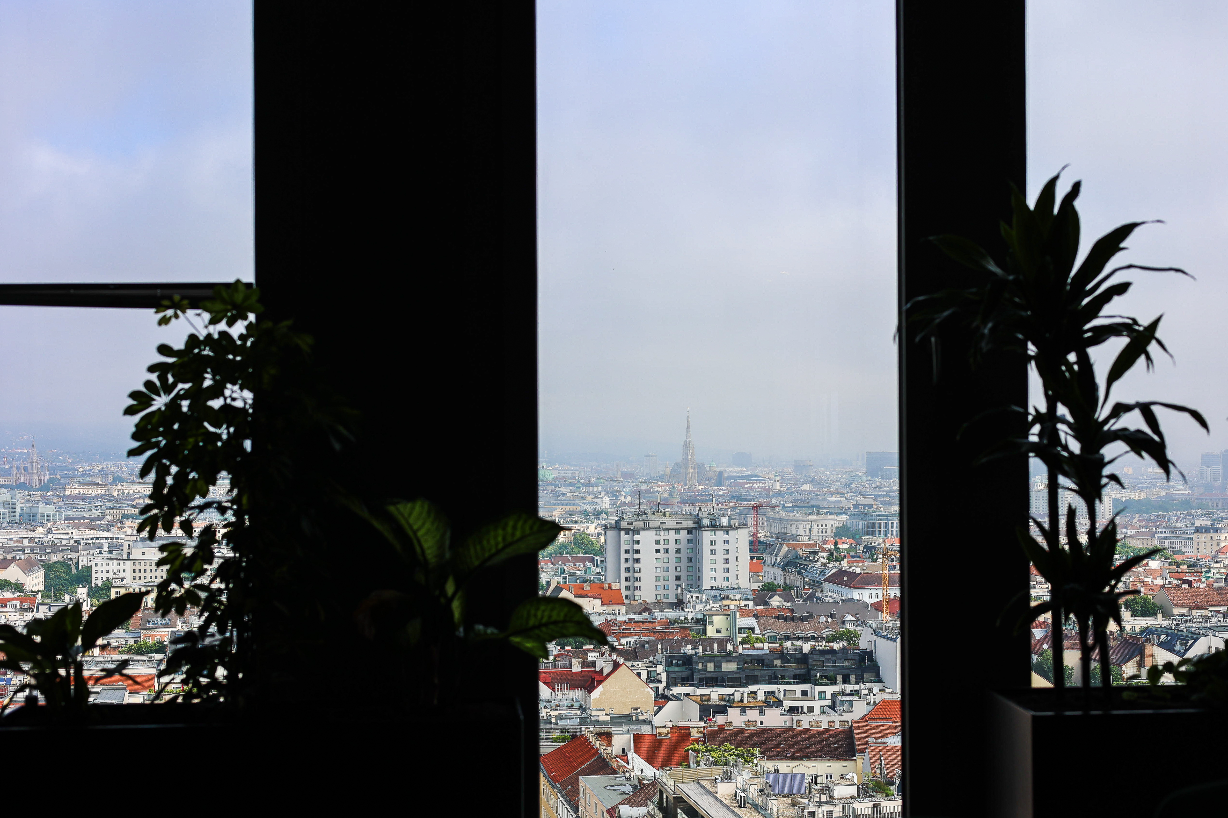 Dynatrace Vienna Office 9