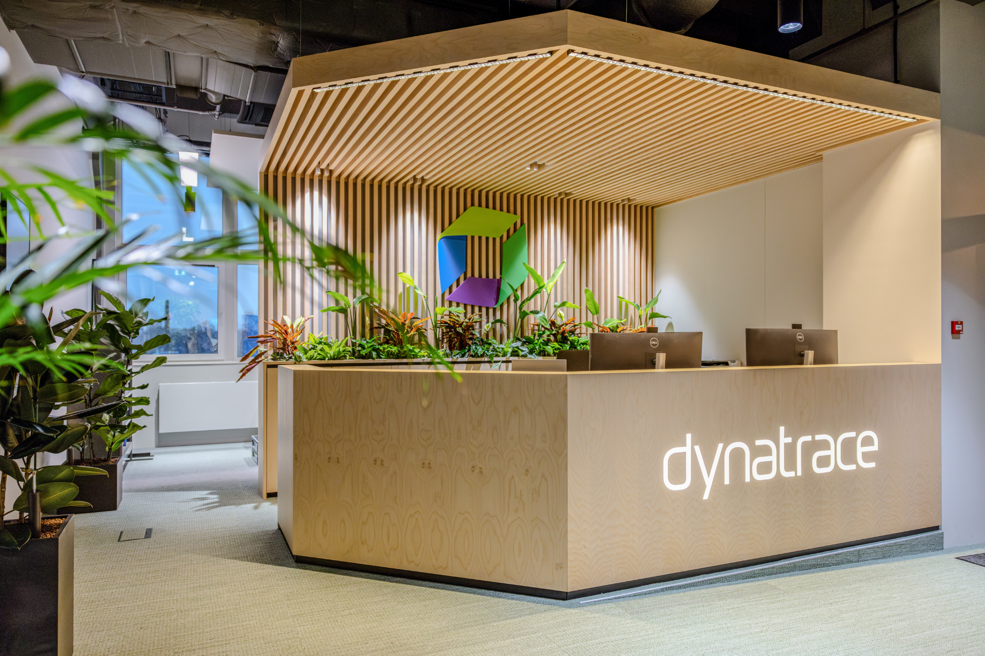 dynatrace tech careers and lab