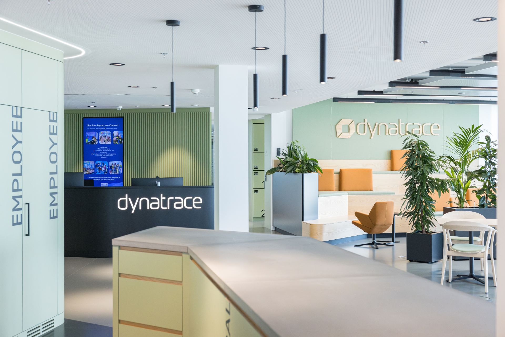 dynatrace tech careers and lab