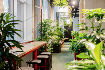 dynatrace tallinn office