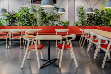 dynatrace tallinn office
