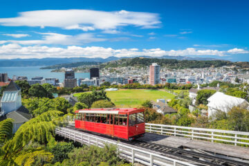 Dynatrace careers location wellington hero