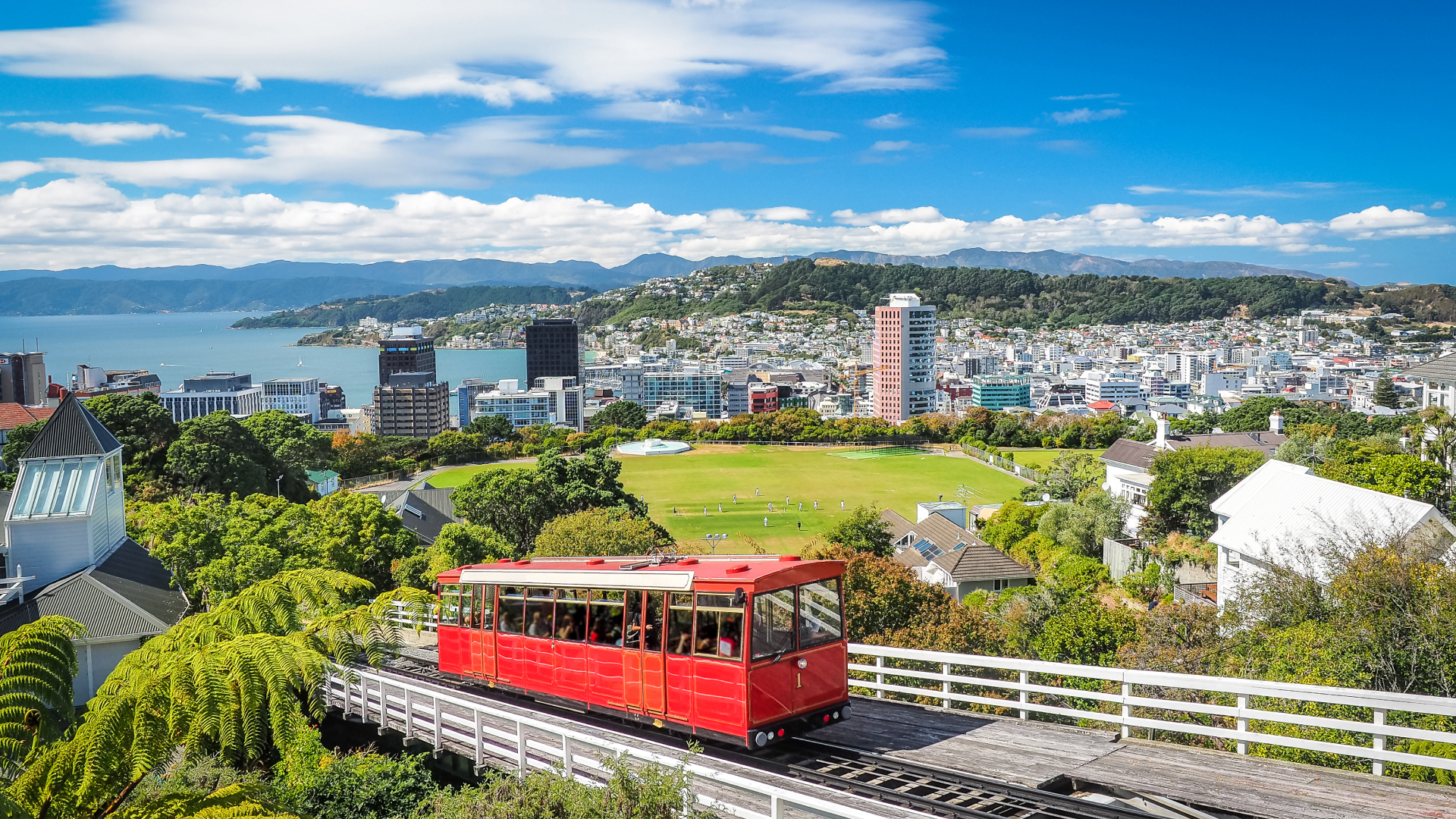 Wellington shutterstock 682572673