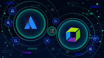 C81c8c7e76f30464130993c1ccb1894cc5fbd178