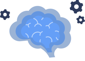 Brain