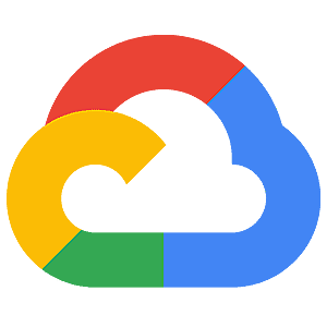 Google cloud signet 300 7d6095da3a