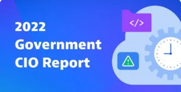 Government cio report