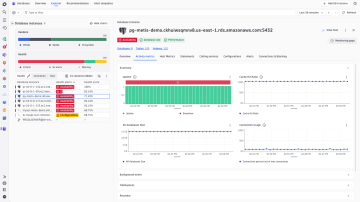 Screenshot: Manage performance
