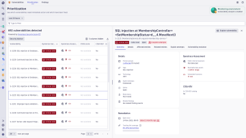 Vulnerability Detail Light