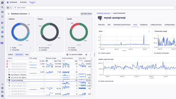 Screenshot: Database monitoring dashboard