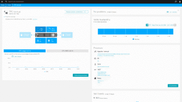 EC2 VM monitoring overview in Dynatrace screenshot