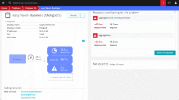 External database problem overview in Dynatrace screenshot