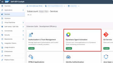 Screenshot: SAP Business Technology Platform