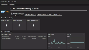 Screenshot: SAP HANA dashboard