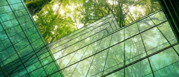 La sostenibilidad de Dynatrace